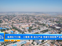 临渭区下邽镇：小葡萄“串”起大产业 党建引领助推产业振兴
