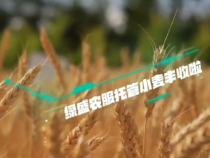 种地有绿盛 丰收有保证