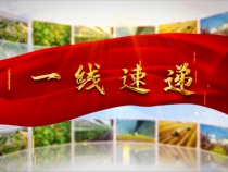一线速递