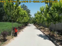 华阴市罗敷镇：全镇齐动员 人人共参与 打一场农村人居环境整治攻坚战