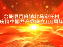 合阳县百良镇北马家庄村：开展庆“七一”系列活动