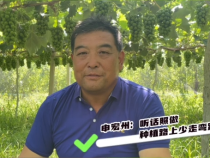 【我和天福樱花的故事第二季】申宏州：听话照做 种植路上少走弯路