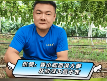 《我和天福樱花的故事第二季》张帆：耍小聪明误大事 及时改正喜丰收