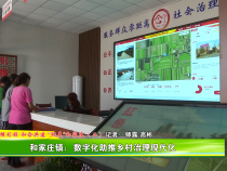 和家莊鎮：數字化助推鄉村治理現代化