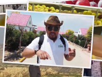 《秦果佬探果》大荔冬枣：从田间到舌尖的甜蜜之旅