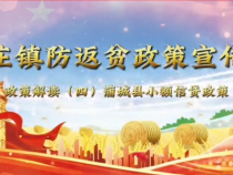 蒲城县陈庄镇防返贫政策宣传月政策解读——小额信贷政策