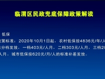 临渭区民政兜底保障政策解读