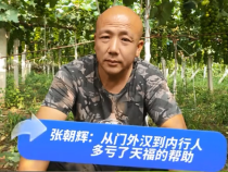 《我和天福樱花的故事第二季》张朝辉：从门外汉到内行人 多亏了天福的帮助