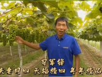 【我和天福樱花的故事第二季】司军锋：夫妻同心 天福精心 年年精品