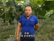 【我和天福樱花的故事第二季】屈波：你的及时出现 是我继续前行的信心