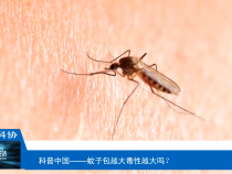 【渭南科普】蚊子包越大毒性越大吗？