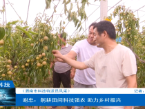【渭南市科技特派员风采】谢忠：躬耕田间科技强农 助力乡村振兴
