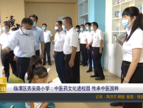 临渭区西安路小学：中医药文化进校园 传承中医国粹