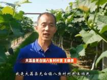 【我和天福樱花的故事第二季】王焕民：跟对团队我放心