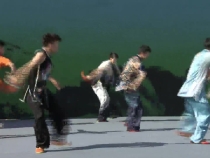 武術(shù)《華山風(fēng)骨》