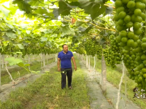 【我和天福櫻花的故事第二季】屈波：你的及時出現 是我繼續前行的信心