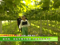 【我和天福樱花的故事第二季】徐巧玲：初生牛犊不怕虎  只因有你在身后
