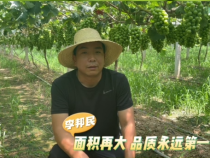 【我和天福樱花的故事第二季】李邦民：面积再大 品质永远第一位