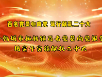 【百名党员心向党 笃行献礼二十大】韩城市板桥镇百名党员向党报告 用实干实绩献礼二十大