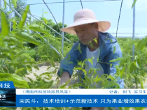 【渭南市科技特派员风采】宋民斗：技术培训+示范新技术 只为果业增效果农增收
