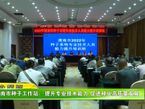 渭南市種子工作站：提升專業(yè)技術能力 促進種業(yè)高質量發(fā)展