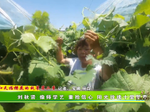 【我和天福櫻花的故事第二季】劉秋賢：偷師學藝 重拾信心 陽光玫瑰十里飄香