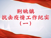 蒲城县荆姚镇：抗击疫情 我们在行动（一）