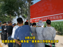 临渭区秋粮“一喷多促”保丰收工作现场会召开