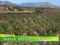 蒲城縣堯山鎮(zhèn)：椒香四溢光陵村 產(chǎn)業(yè)便利解民憂