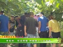 【我和天福櫻花的故事第二季】申宏州：聽話照做 種植路上少走彎路