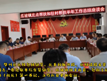 华州区瓜坡镇定点帮扶和驻村帮扶半年工作总结会召开