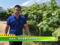 【我和天福樱花的故事第二季】赵朋涛：是天福樱花给了我信心