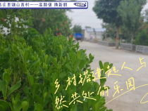 富平县庄里镇山西村——高颜值 换新貌