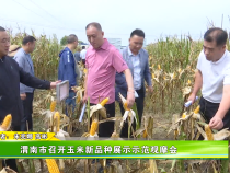 渭南市召开玉米新品种展示示范观摩会