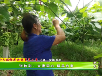 【我和天福樱花的故事第二季】张秋彩：夫妻同心 精品自来