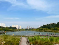 渭南公园 入秋的第一抹美景