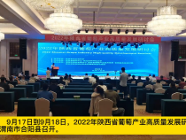 陕西省葡萄产业高质量发展研讨会在渭南召开 内容“很丰富”