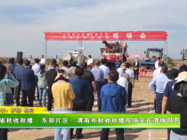 全省秋收秋播(东部片区)渭南市秋收秋播现场会在澄城召开