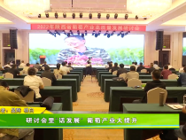 研讨会里“话发展”  葡萄产业大提升