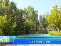 白露节气养生防“秋燥”