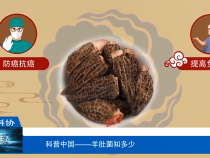 【渭南科普】羊肚菌知多少
