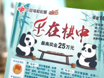 刮刮乐“乐在棋中”让您“棋”乐无穷