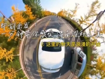即刻出发！一分钟带你感受渭南深秋之美