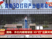 【奋进新征程 建功新时代·筑梦向未来】渭南高新区：外引内孵育项目 3D“打”出新天地