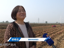 【渭南市科技特派员风采】梁晓宏： 找准产业发力点 用科技助推乡村振兴