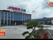 【奋进新征程 建功新时代·筑梦向未来】大荔：招引世界500强企业 打造一流纳米产业生态链