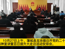 蒲城县龙池镇：百日提升大走访 民生民意“记心间”