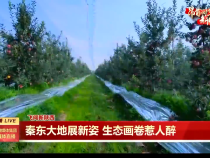 【奋进新征程 建功新时代·飞跃新渭南】秦东大地展新姿 生态画卷惹人醉