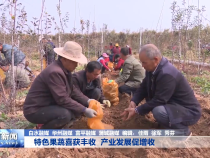 特色果蔬喜获丰收  产业发展促增收