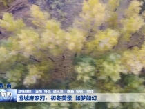 澄城麻家河：初冬美景 如梦如幻